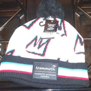 Mammoth Mountain Beanie